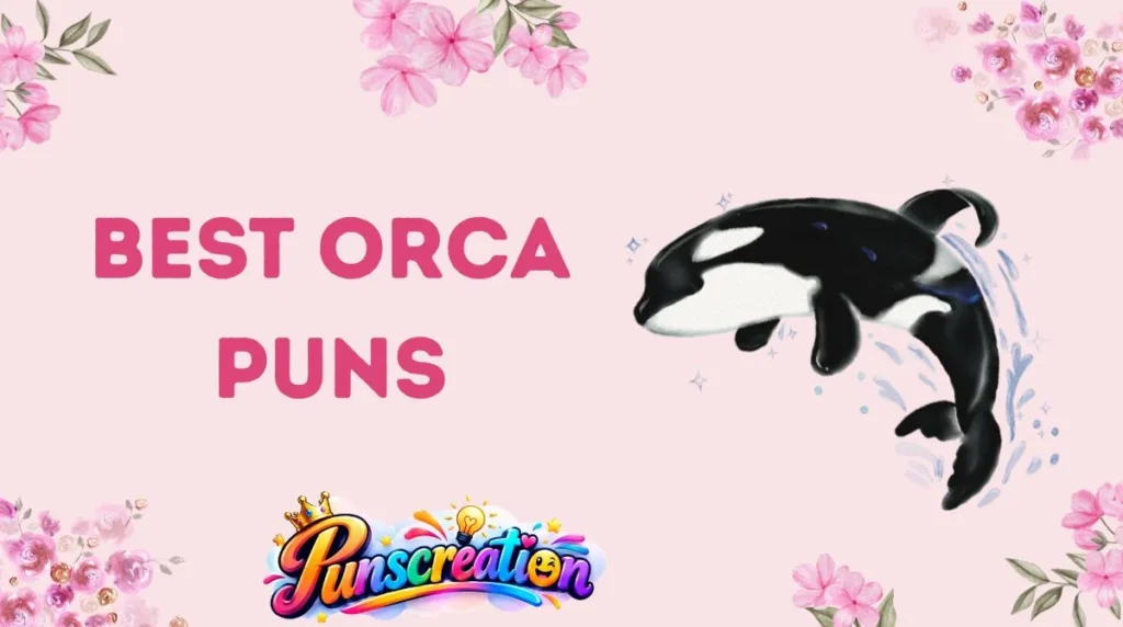 Best Orca Puns