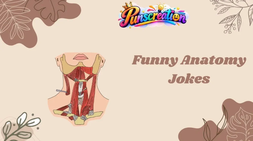 Funny Anatomy Jokes