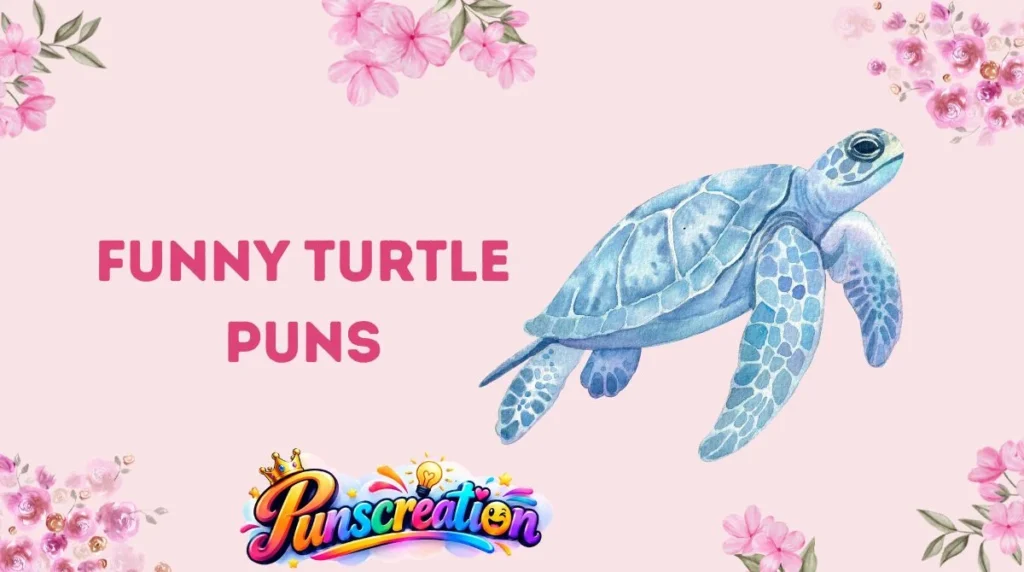Funny Turtle Puns