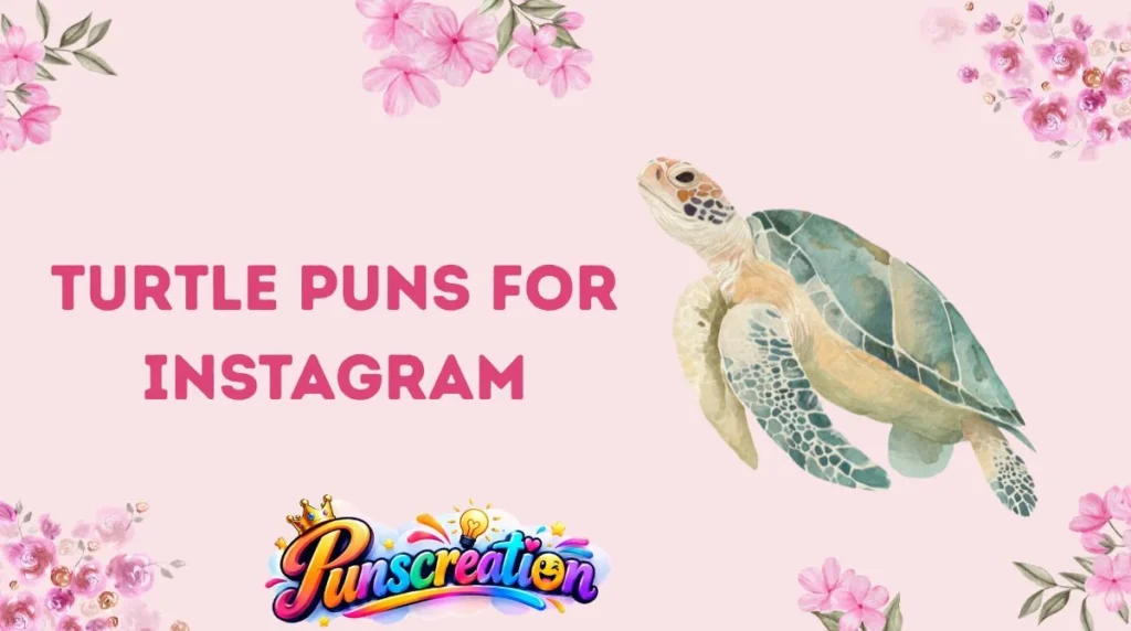 Turtle Puns for Instagram