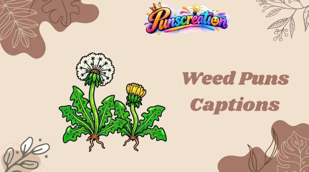 Weed Puns Captions
