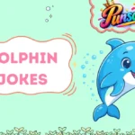 Dolphin Jokes