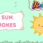 Sun Jokes